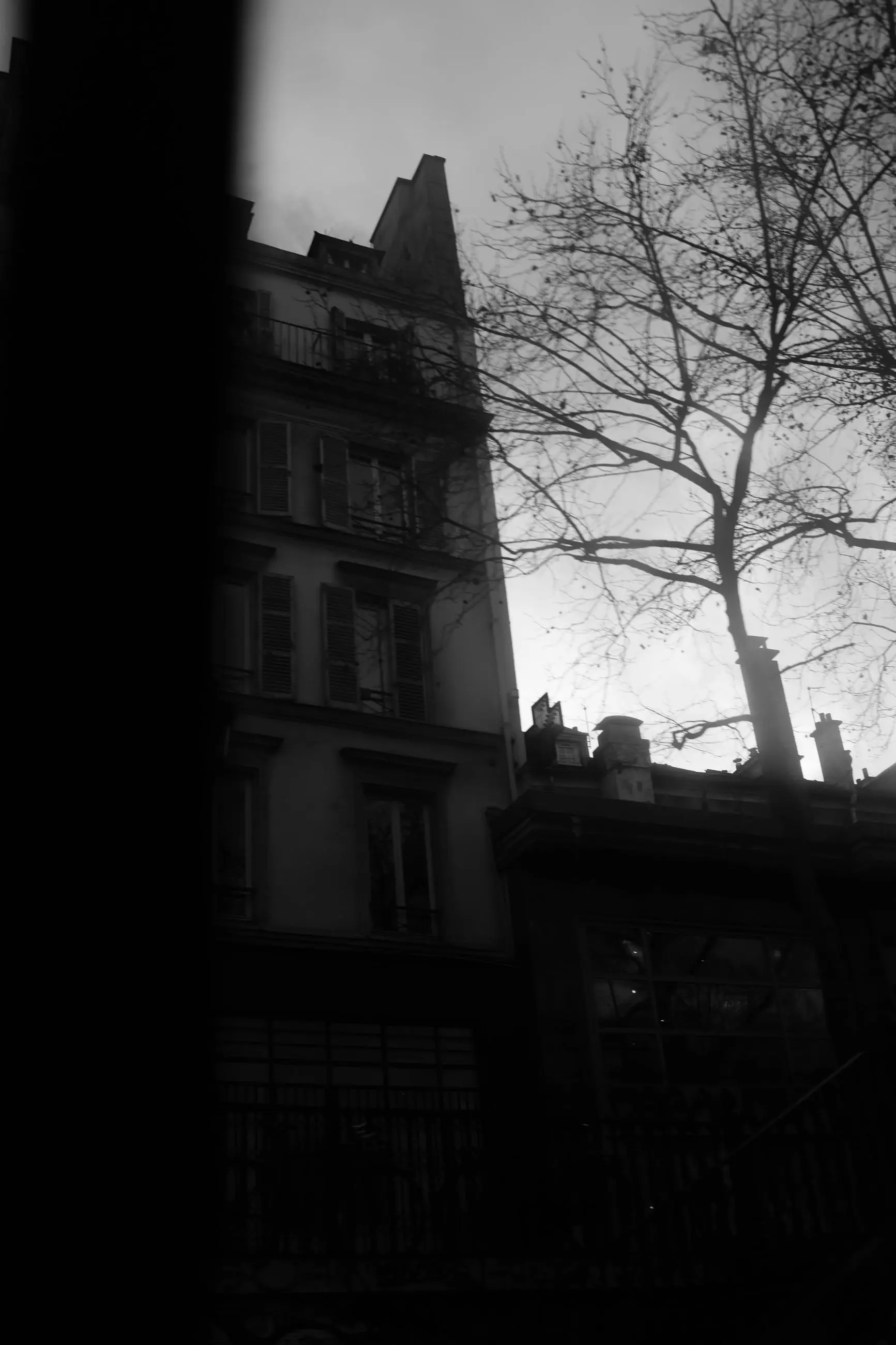Bare tree against a bright sky, framed by the dark edge of the window