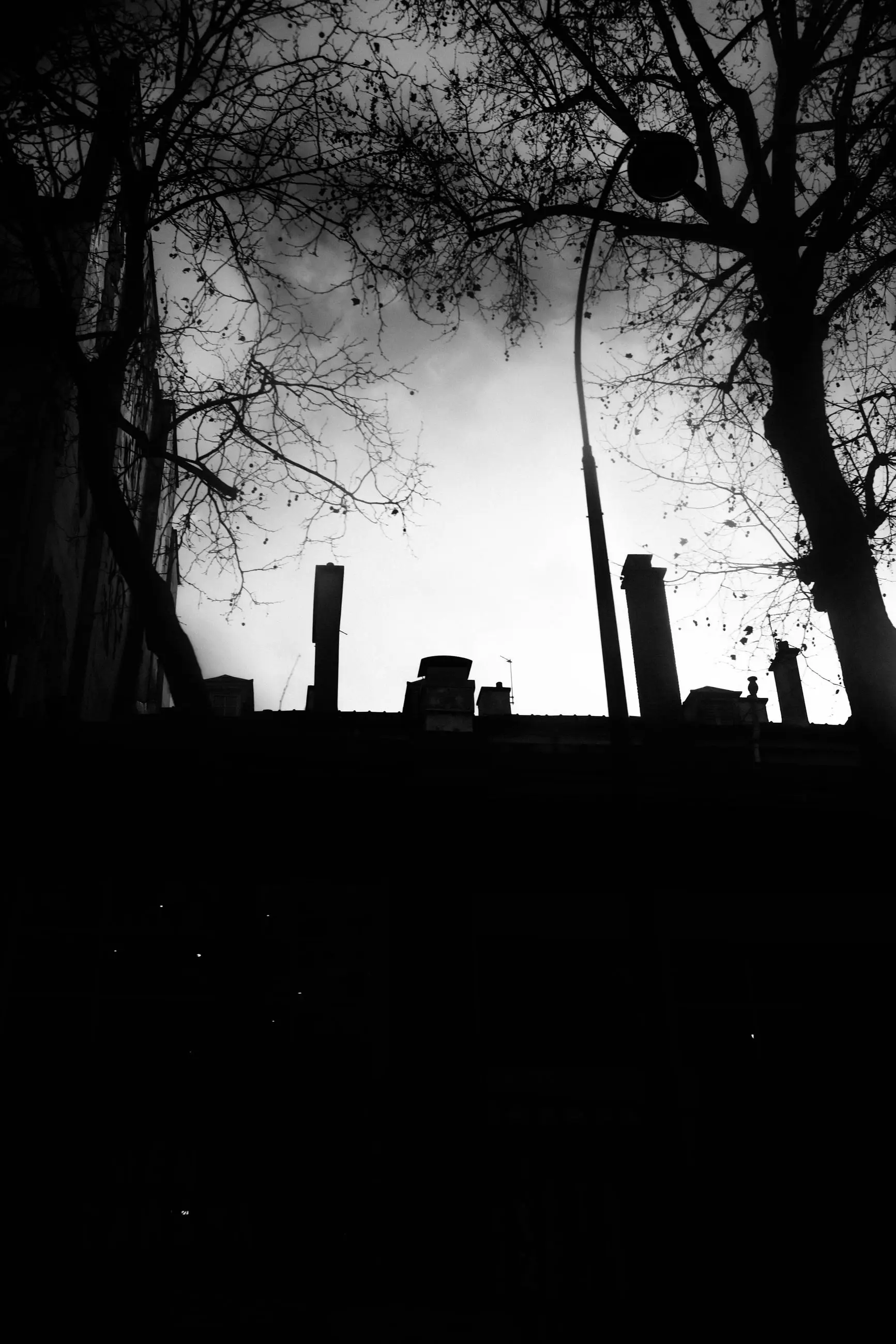 Tree and rooftop silhouettes in a black window opening