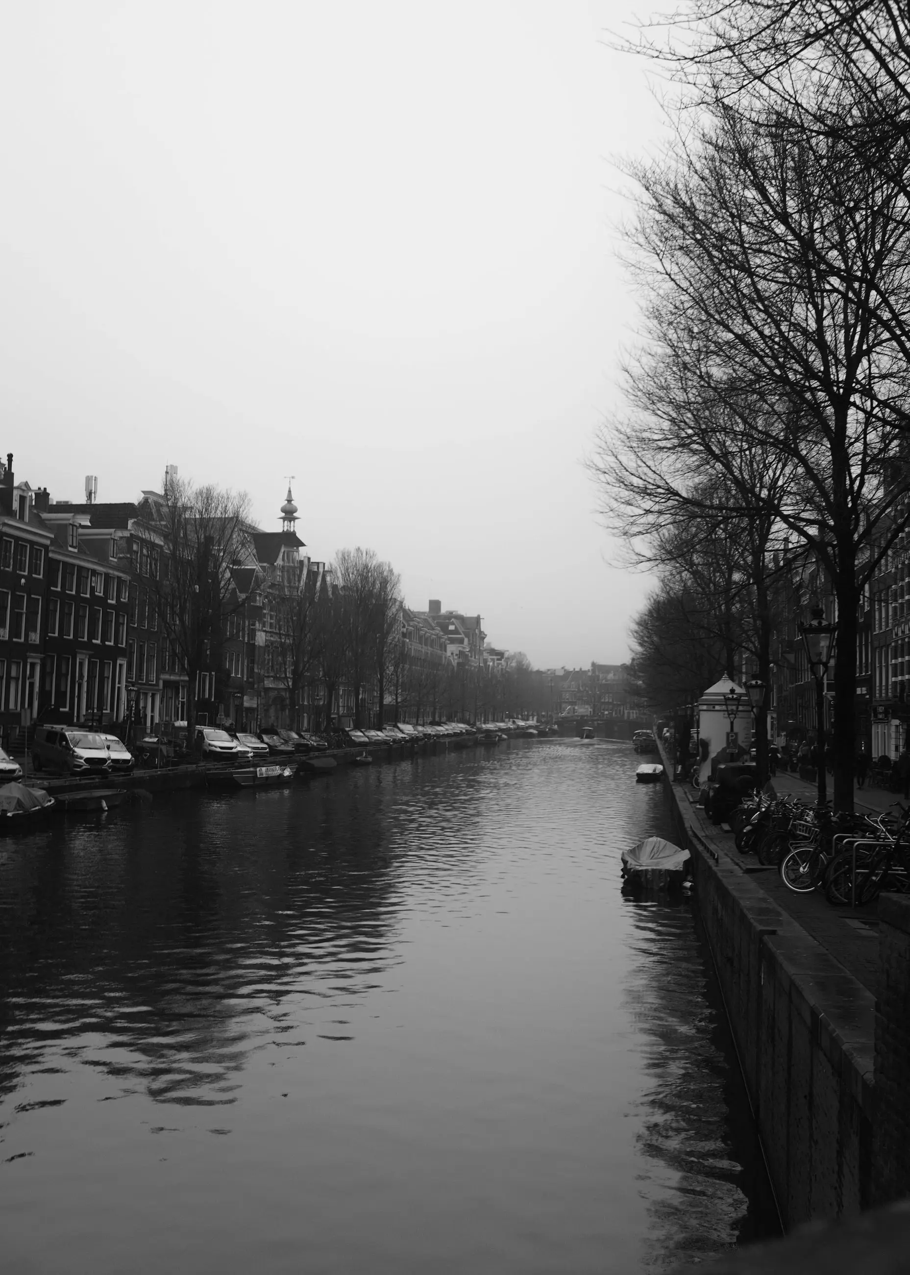 A canal in fog, bare trees along one bank