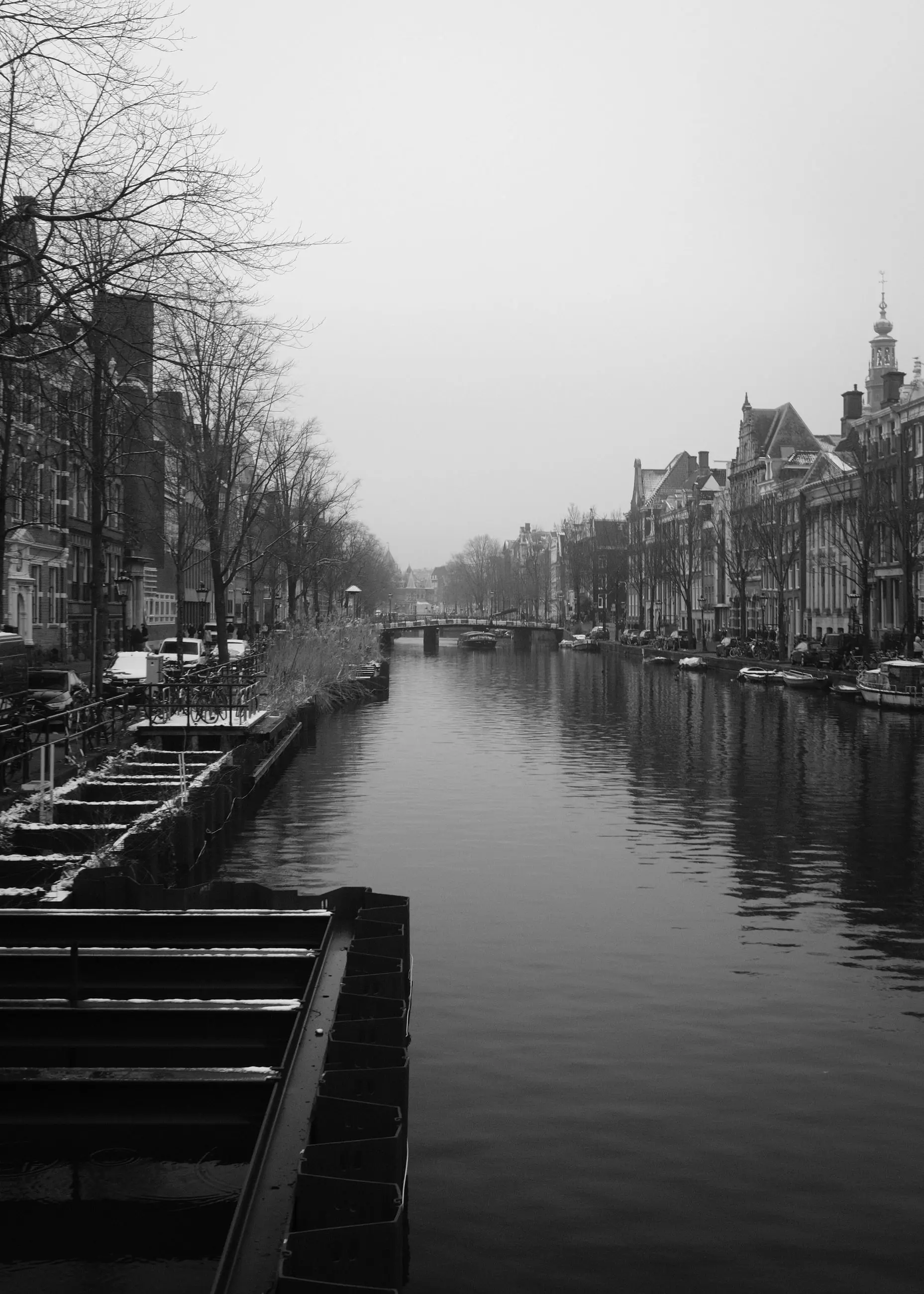A straight canal receding into mist between bare trees