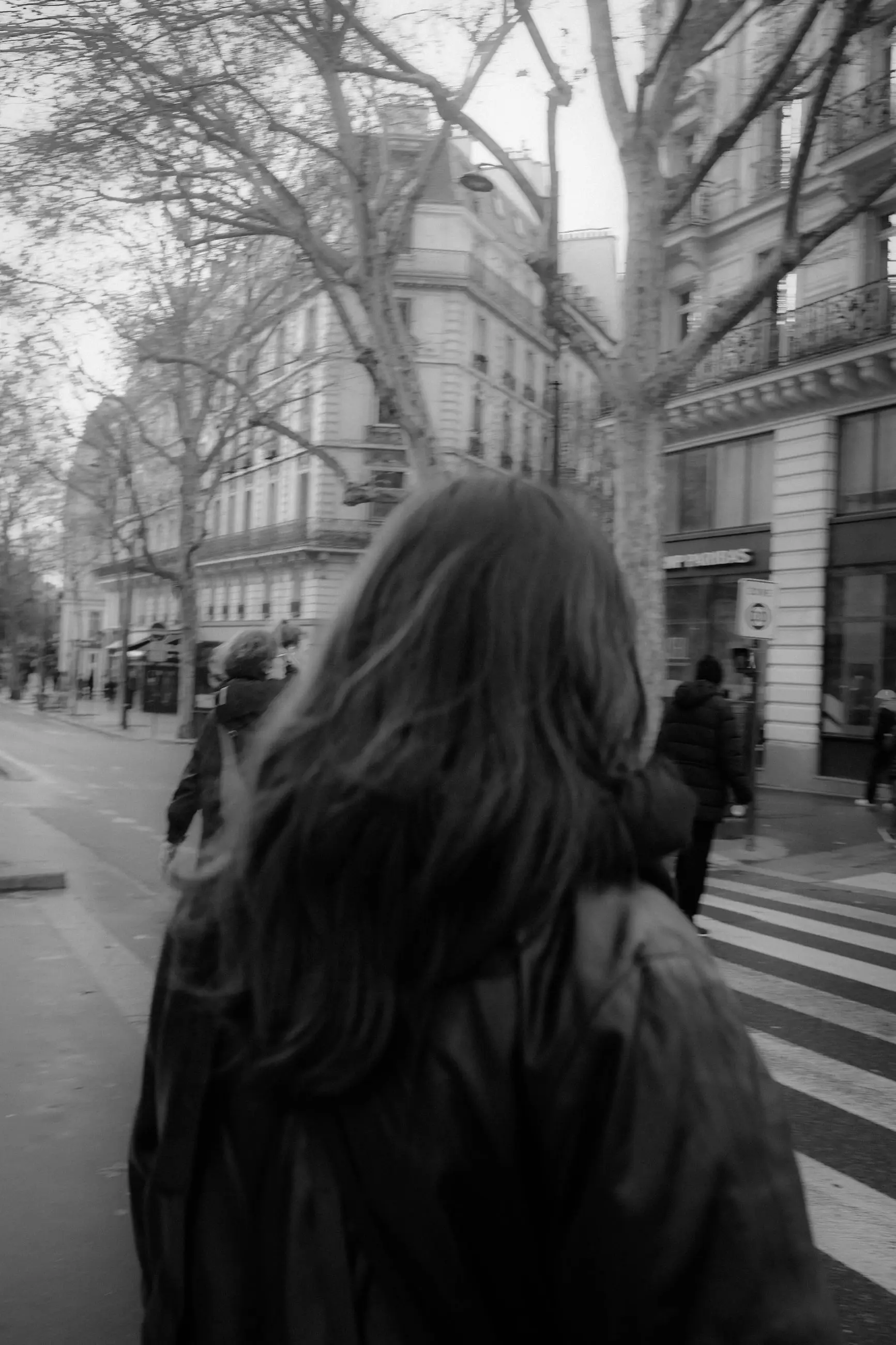 A woman seen from behind on a Haussmann boulevard
